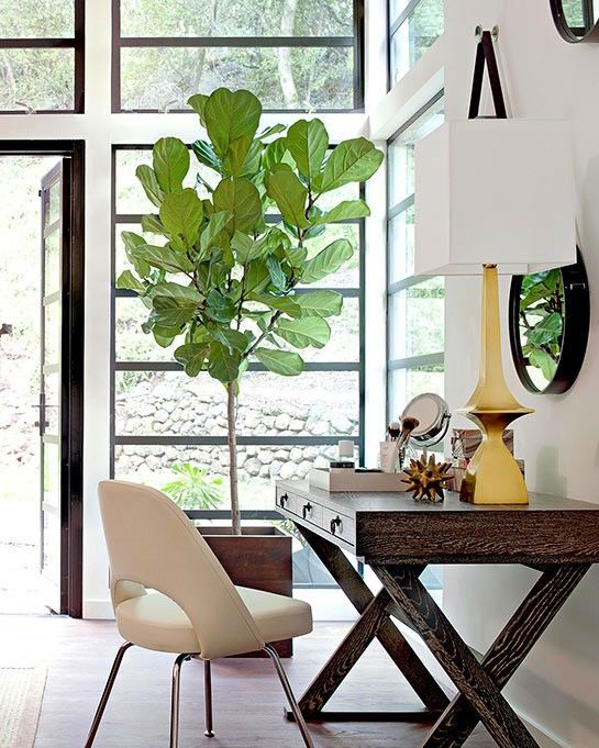 Minimalist Ideas for Decor and Fnishes  
