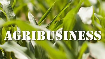 Agric Ministry bridges funding gap with new model