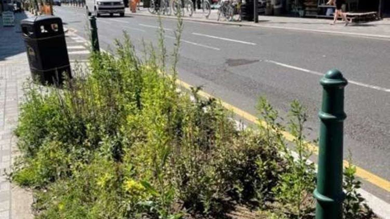 The million pound improvement scheme that's making Bedford Hill safer and greener