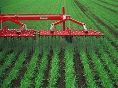 With artificial intelligence, Agronow is beginning a new revolution in agribusiness: Agriculture 5.0