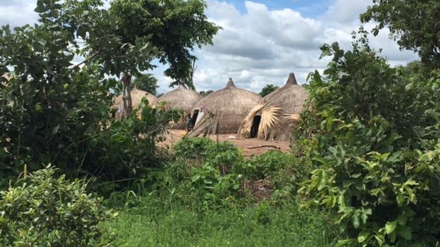 Herdsmen v farmers, Nigeria\'s deadly battle for land 