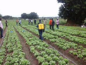GSS conducts nationwide census of agriculture