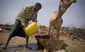 Ethiopia: A Strong Case for Investment in Sanitation