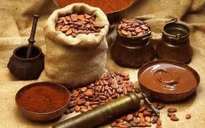 Ghanaâ€™s Nana Addo pledges robust value addition for cocoa
