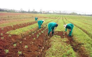 US$158 million private capital in support of agribusiness